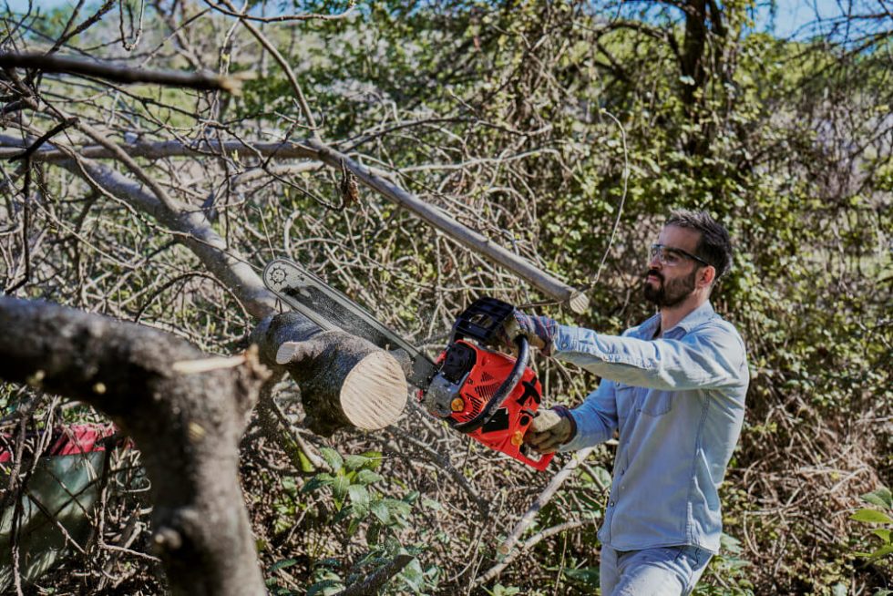 The Art of Professional Tree Removal - Epperson Tree