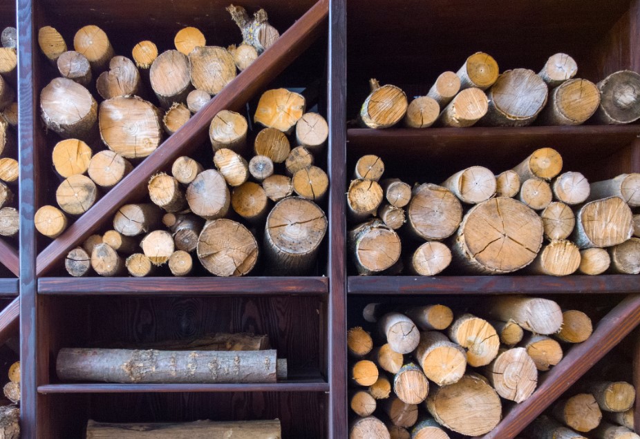 The Homeowner’s Guide to Firewood: What to Burn and What to Avoid