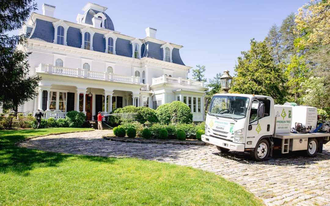 Protecting Your Property: A Guide to Fire-Safe Landscaping and Defensible Space