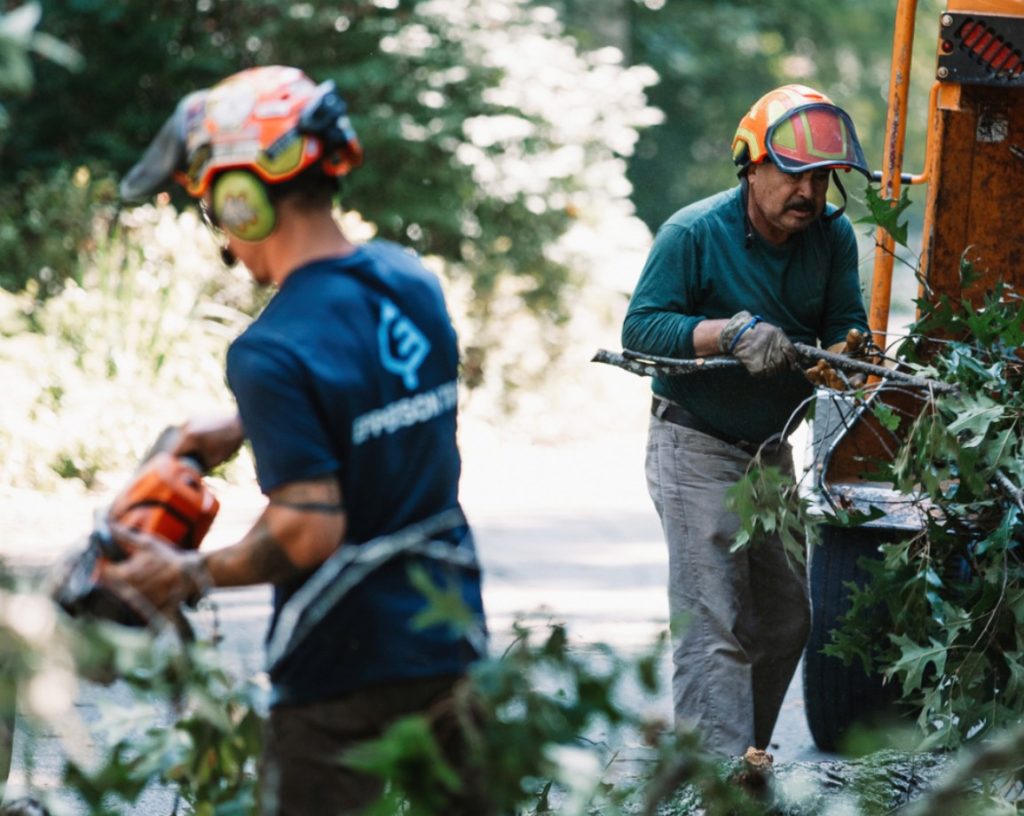 Clearing the Path Key Benefits of Professional Land Clearing