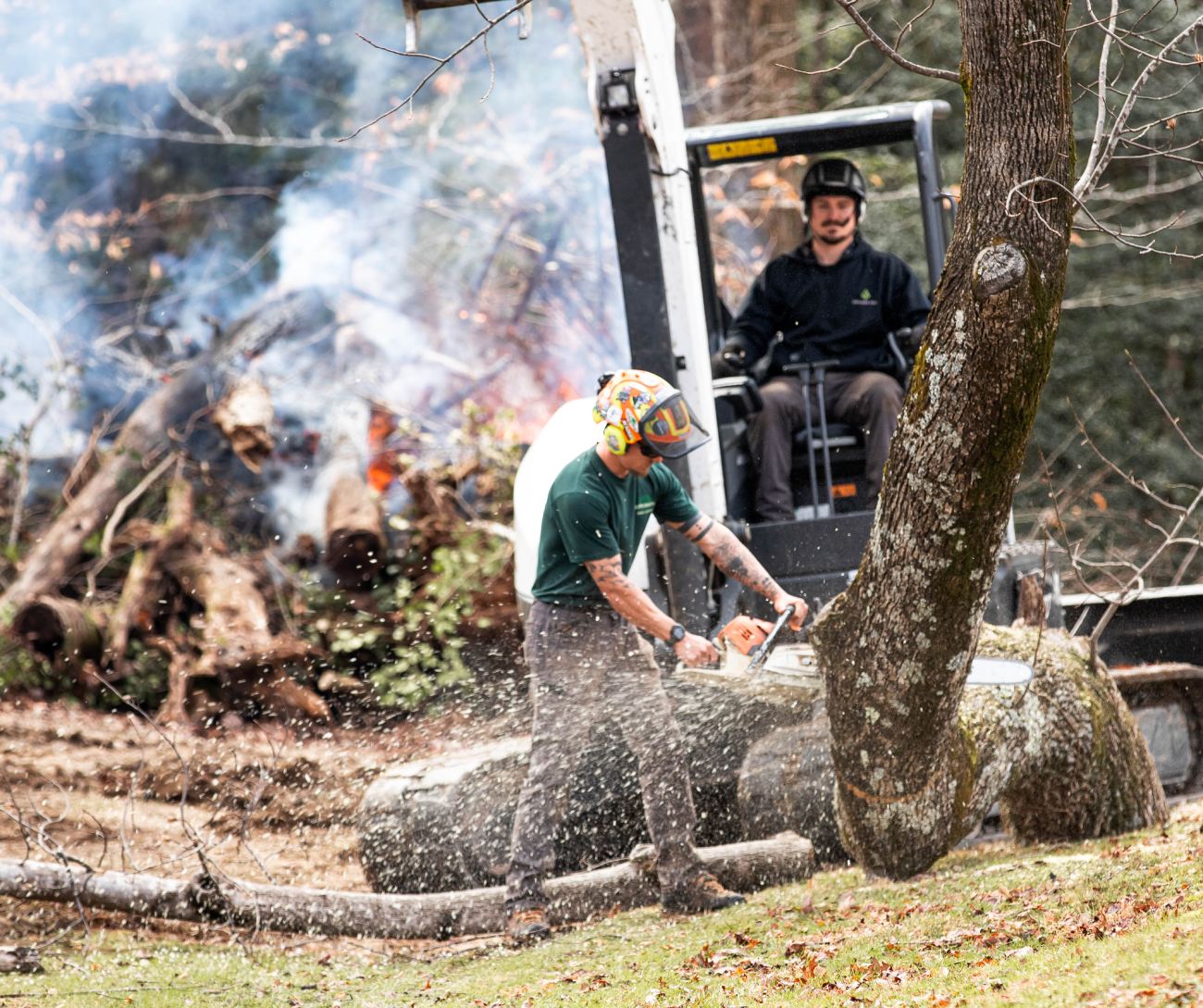 What to Do Before the Tree Service Arrives: Safety Steps for ...