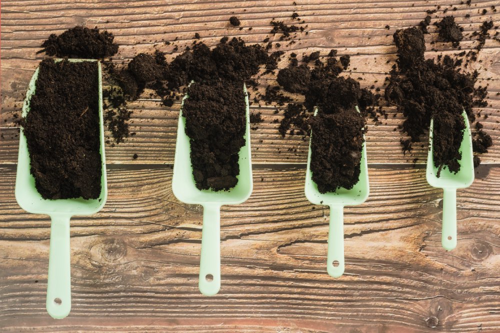 How Soil Conditions in Hendersonville Affect Tree Health