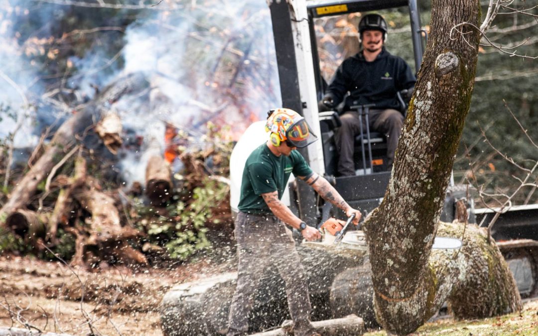 The Complete Site Prep Checklist: From Tree Removal to Final Grading in Hendersonville