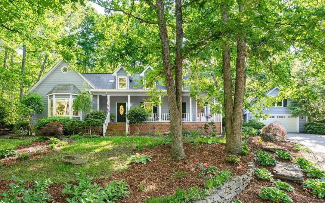 How Healthy Trees Increase Your Property Value in Western North Carolina